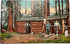 Usado, Cartão postal 1907 CALIFORNIA FOREST RANGER'S CABIN veado morto Edward Mitchell D1 comprar usado  Enviando para Brazil
