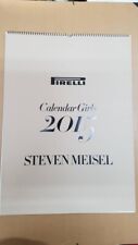 Calendario pirelli 2015 usato  Palermo