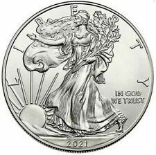 Liberty silver eagle usato  Viadana