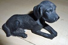 Hund schwarz labrador gebraucht kaufen  Kaiserslautern
