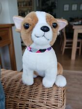 Furry cuddly chihuahua for sale  BROMLEY