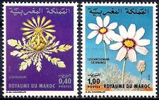 Marocco 1979 flora usato  Italia
