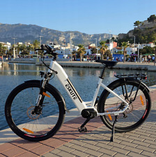 Eskute electric bike for sale  BIRMINGHAM