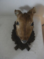 Vintage german taxidermy for sale  Shipping to Ireland