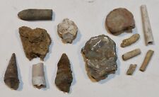 Lotto conchiglie fossili usato  Cremona
