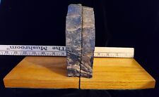 Petrified wood bookends for sale  Omaha