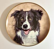 border collie plates for sale  STOKE-ON-TRENT