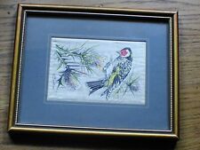 Genuine cash goldfinch for sale  YORK