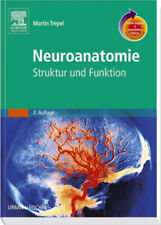 Neuroanatomie struktur funktio gebraucht kaufen  Iggingen