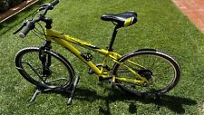 Bicicletta mountain bike usato  Montaione