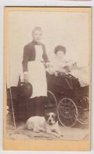 Dog cdv dog for sale  BATH