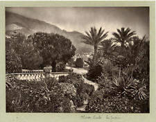 Monte carlo jardins d'occasion  Pagny-sur-Moselle
