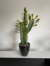 Artificial cactus cacti for sale  LONDON
