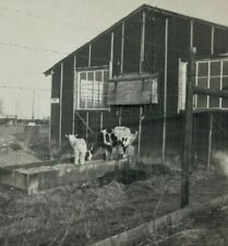 Goats fence barn for sale  Foley