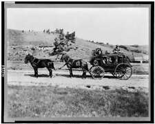 Old stagecoach transportation for sale  USA