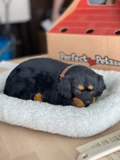Usado, Perfect Petzzz - Rottweiler (animal de estimação decoração para casa filhote de brinquedo respirável) comprar usado  Enviando para Brazil