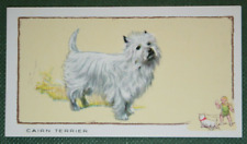 Cairn terrier vintage for sale  Shipping to Ireland