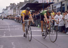 sean kelly for sale  Shipping to Ireland