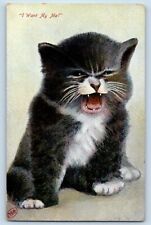 Cat kitten postcard for sale  Terre Haute