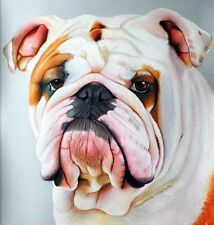 Ritratto ritratto cane usato  Torino