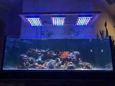 reef Savvy tank 156g Rimless￼, used for sale  Jacksonville