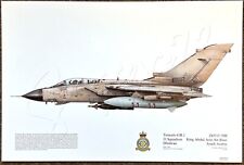 Tornado gr1 zd715 for sale  STAMFORD