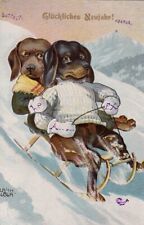 Used, Humanised Dachshund Dog Sledding Old Postcard signed Ulrich Weber 1910 for sale  Shipping to South Africa