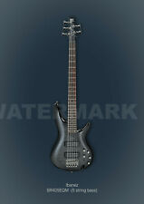 Ibanez 5 String Bass. Electric Guitar. Classic. Professionally Printed Poster. for sale  LANCING
