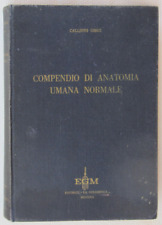 Libro compendio anatomia usato  Catania