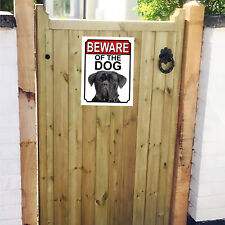 Beware dog cane for sale  MANSFIELD