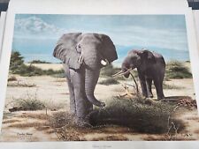 Elephants kilanmanjaro charles for sale  Mooresville