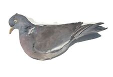 stampi uccelli usato  Sansepolcro