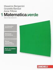 Matematica.verde vol.1 usato  Italia