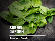 Sorrel garden 200 for sale  Frisco