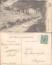 Carrara 1910 mestieri usato  Italia