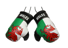 Wales welsh mini for sale  ASHFORD