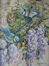 Blue tits wisteria for sale  WEST MOLESEY