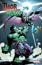 Thor & Hulk, de Simonson, Louise; Benjamim, Paulo; Davi, Pedro comprar usado  Enviando para Brazil