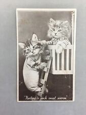 Vintage Photo Postcard Real Kittens in Clothes Shakespeare Romeo & Juliet 1932 for sale  Shipping to South Africa