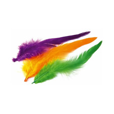 Schlappen feathers cumbria for sale  CARLISLE