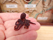 Real small Octopus Taxidermy for sale  Shipping to South Africa