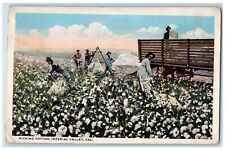 1923 picking cotton for sale  Terre Haute