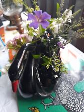 Black swan flower for sale  NEWBURY