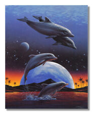 Dolphins ocean planetary for sale  Springdale