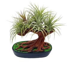 Resin bonsai air for sale  Apopka