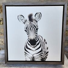 Amy peterson zebra for sale  Chicago