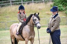 Matching beau cheval for sale  CAERSWS