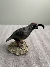 Gambel quail american for sale  Flowood