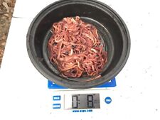 Excellent composting worms for sale  Hoboken