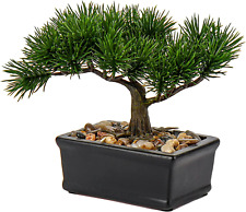 Fake bonsai tree for sale  Denver
